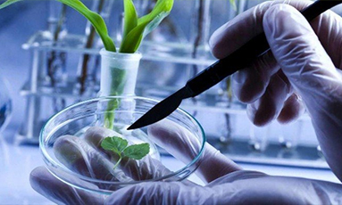 Research & Development Future Biotech core strengths